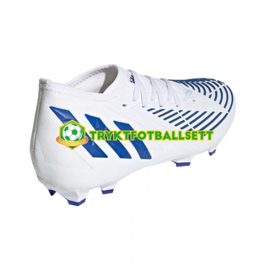 Adidas Predator EDGE.2 FG Diamond Edge Blå Hvit Fotballsko