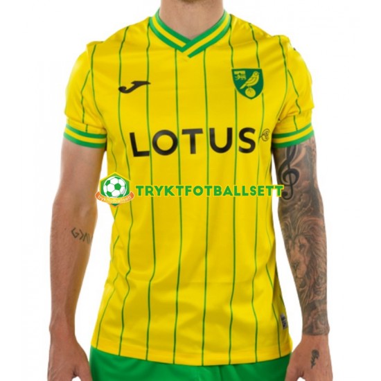 Herre Norwich City drakt Hjemme 2022-23 Korte Ermer