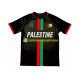 Herre Club Deportivo Palestino drakt Center Stripre Hjemme 2024-2025 Korte Ermer